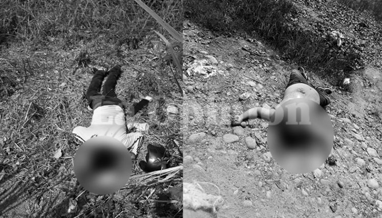 En Puerto Santander fueron halladas vainillas de un arma de largo alcance.