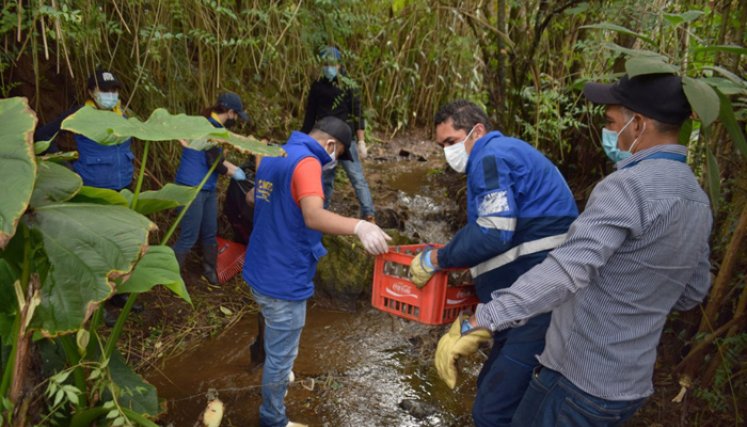 En la jornada se recolectaron botellas, bolsas con basura, materiales y desechos vegetales./ Foto: Cortesía.