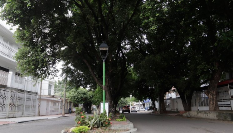 La avenida Los Faroles es uno de los lugares de la ciudad, pionera a nivel nacional, en zonas verdes con túneles árboreos 