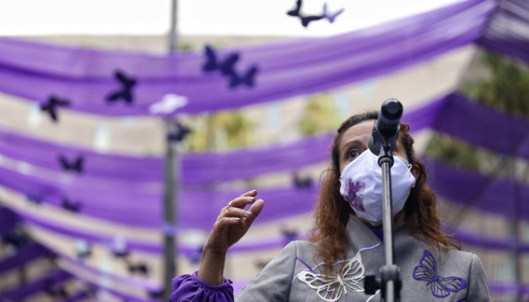 Jineth Bedoya expuso su caso de violación y tortura ante la Corte Interamericana de Derechos Humanos (CIDH)./FOTO: Colprensa