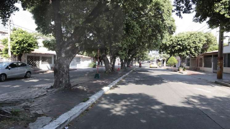 Proponen una nueva forma de trabajar en la arborización para traer un nuevo norte para la ciudad.