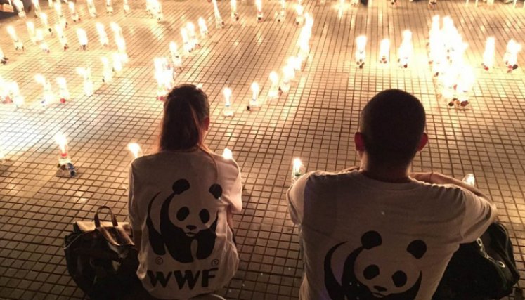 La Hora del Planeta ha inspirado iniciativas globales de protección a la naturaleza, el clima y el medio ambiente. / Foto: WWF
