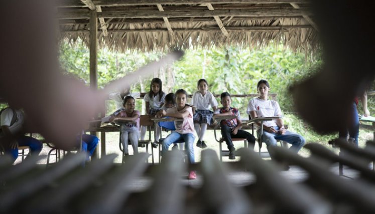 La suspensión de sus actividades por parte de la ONG impacta el desarrollo del proyecto ‘Catatumbo Ama la Educación’, orientado a garantizar el aprendizaje en entornos inclusivos, seguros y protectores de los niños y adolescentes. / Foto: Cortesía