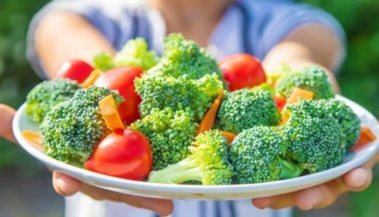Alimentación vegetariana.