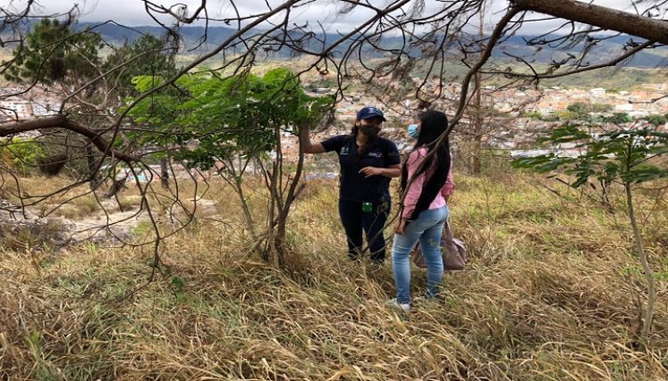 La misión es salvar los cerros tutelares cuya capa vegetal es arrasada por los incendios forestales y las construcciones. /Cortesía/ La Opinión 