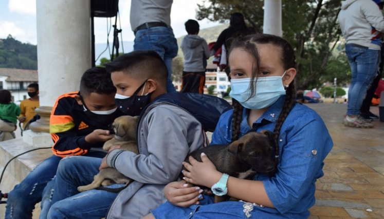 Van a hacer jornadas de vacunación contra la rabia. Al igual que esterilizaciones de machos y hembras para completar en los próximos meses un total de 75 animales./ Cortesía