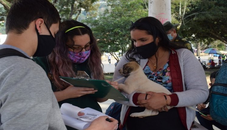 Van a hacer jornadas de vacunación contra la rabia. Al igual que esterilizaciones de machos y hembras para completar en los próximos meses un total de 75 animales./ Cortesía