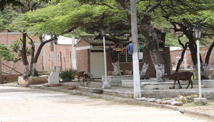 Agualinda