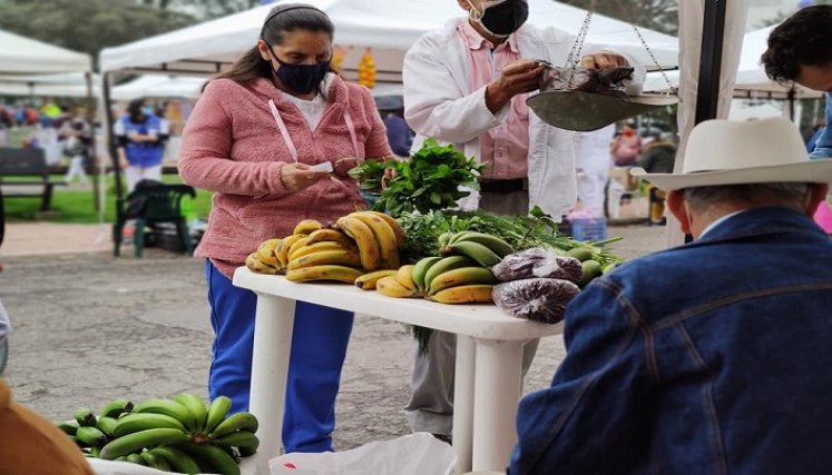 Los agricultores aseguran que están de acuerdo, porque buscan proteger la salud de las comunidades de Pamplona./ Cortesía/ La Opinión 