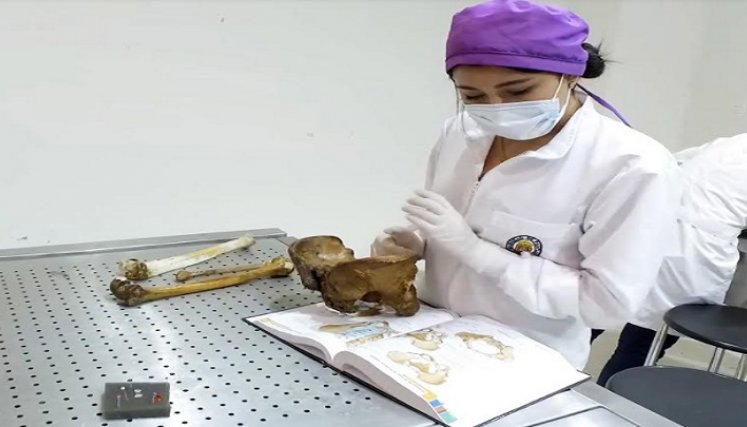 El docente también está vinculado a varias redes internacionales de investigación e investigadores, en donde le han publicado los trabajos científicos./Foto: cortesía Unipamplona
