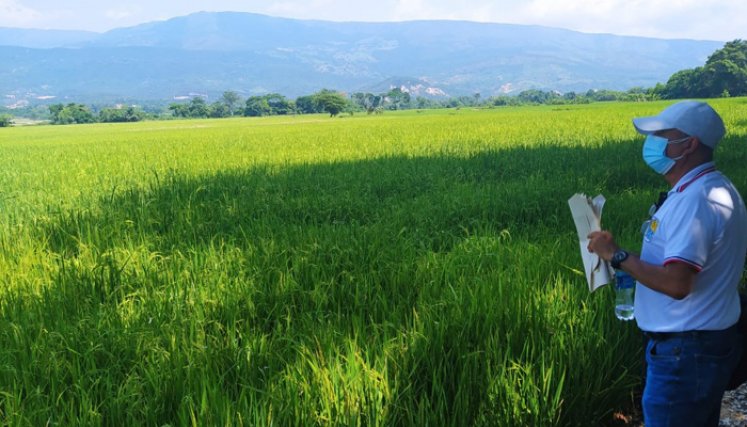 La Unidad de Restitución de Tierras (URT) hizo entrega material de los predios ‘Las Delicias’ y ‘Quebrada Seca’ a José Guillermo Márquez y Rosmira Gélvez. / Foto: Cortesía