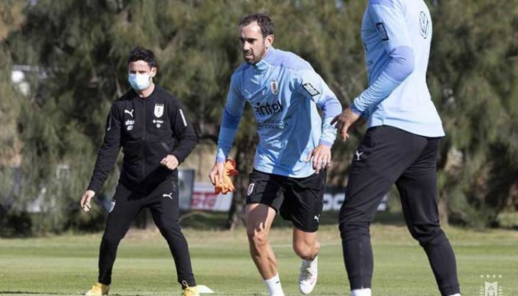 Diego Godín defensa de la selección uruguaya de fútbol