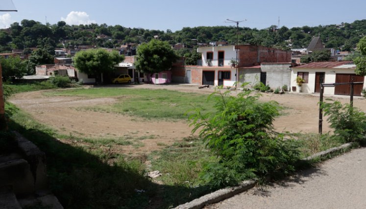 Las canchas están cubiertas por maleza.