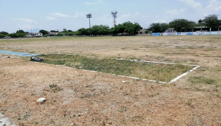 Este es el deterioro que presenta el interior del estadio de atletismo Centenario, en el barrio Cúcuta 75./ Foto: Jorge Maldonado/La Opinión