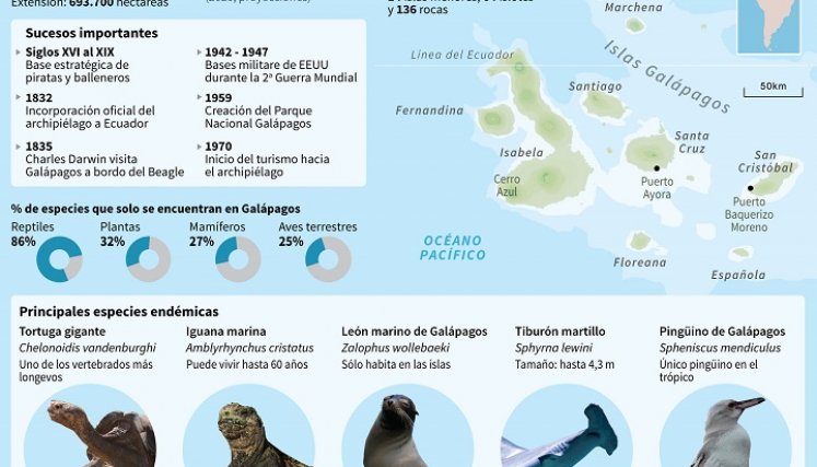 Datos claves de la isla. / Foto: AFP