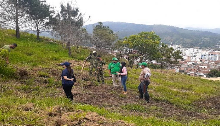 Los planes de reforestación continuarán en el cerro de la Santa Cruz y todos los parques. / Cortesía 