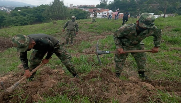 Los planes de reforestación continuarán en el cerro de la Santa Cruz y todos los parques. / Cortesía 