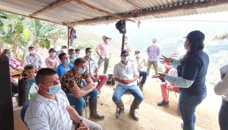 La estrategia está orientada a formar  a 17 beneficiarios de restitución de Ocaña y dos más de Ábrego, quienes se reunieron en el corregimiento Cerro de las Casas de Ocaña para conocer detalles sobre la siembra, poda y herramientas para mejorar la productividad de la cosecha. / Foto: Cortesía
