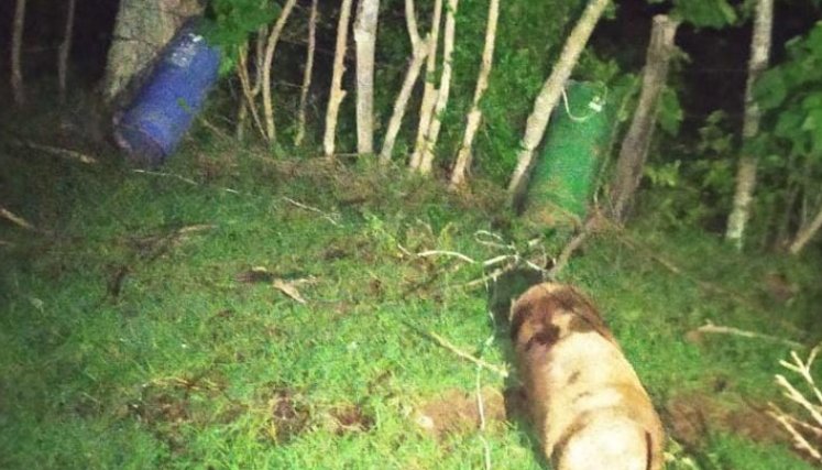 La Policía destacó que en las próximas horas se hará la destrucción controlada de estos artefactos. / Foto: Policía