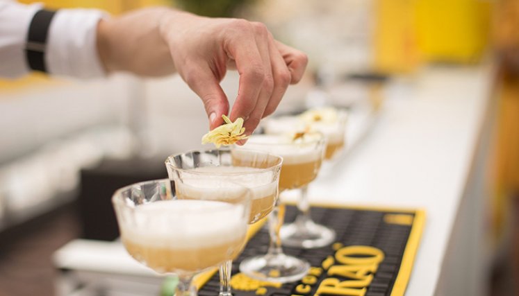 Bebidas