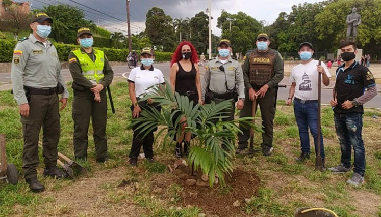 Aparte de esta actividad, plantaron pinos colombianos y robles en Pamplona / Cortesía