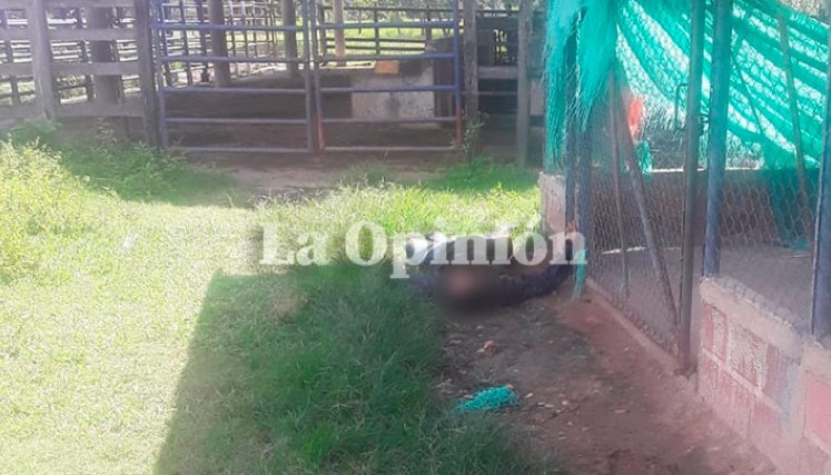 Muerto en Palmarito