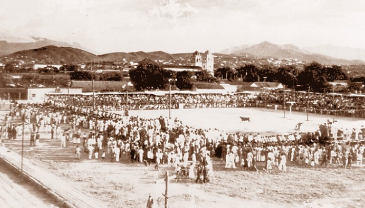 En la primera década del siglo XX, el lote que estaba ubicado entre las calles 8ª y 9ª, con avenidas 8ª y 8A, inicialmente destinado para el parqueadero de las mulas./Foto: archivo