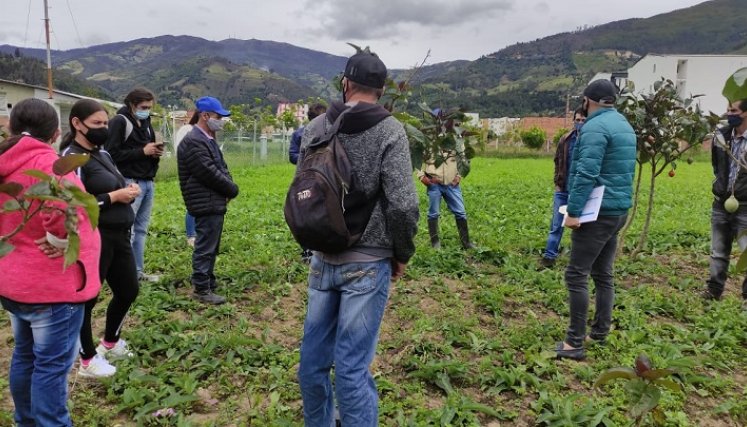 ISER empezó a fortalecer los procesos productivos con 12 campesinos. / Cortesía 