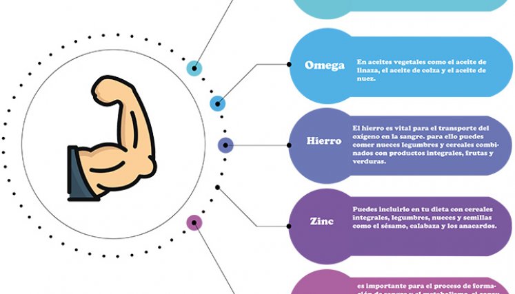 Dieta vegetariana