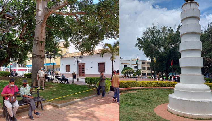 El hombre que salvó la ceiba