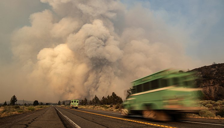 incendios forestales.