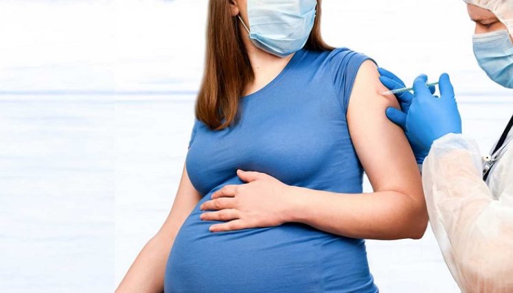 Vacunas para mujeres gestantes entre las 12 semanas y 40 días de postparto. / Cortesía/ La Opinión 