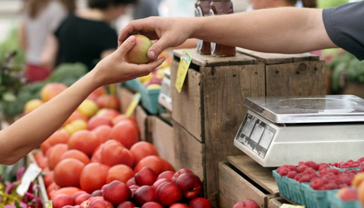 Se busca fortalecer los procesos productivos y de comercialización del sector hortifrutícula en Norte de Santander. / Foto: Archivo La Opinión