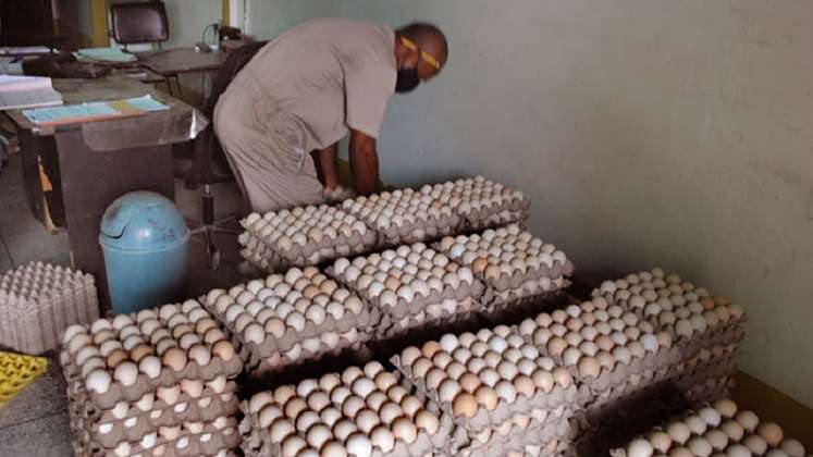 Las granjas medianas y pequeñas no pueden sobrevivir a la crisis del agro venezolano.