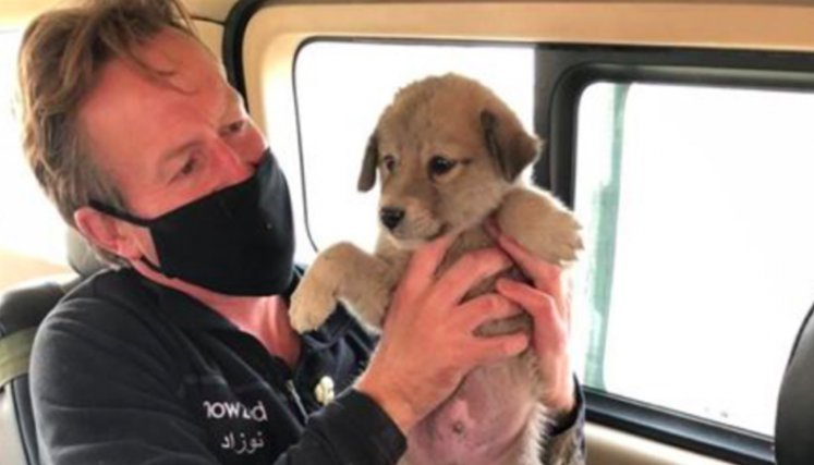 Evacuación de animales en Kabul.