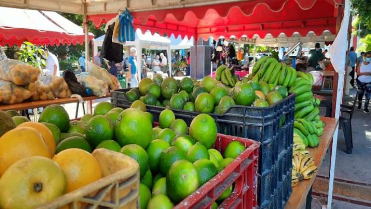 Esta iniciativa se estará desarrollando una vez al mes en diversos parques, donde los campesinos de los 10 corregimientos de la ciudad presentarán sus productos. / Cortesía/ La Opinión 