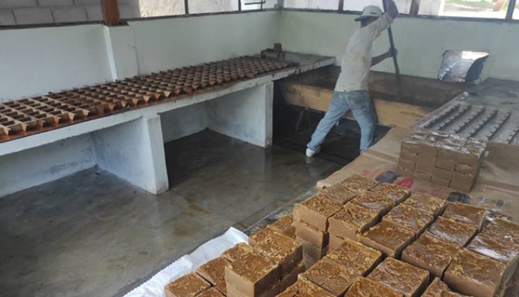La panela tachirense resurge de sus cenizas con sueños de exportación. Fotos La Opinión