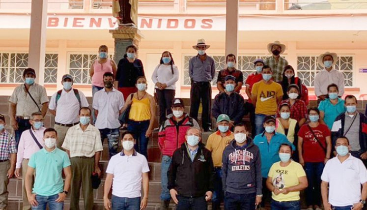 Estufas reguladoras de humo.