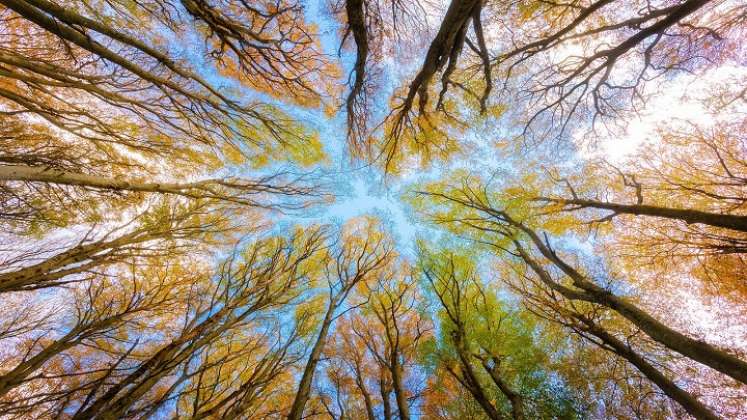 Hay que preservar el medio ambiente