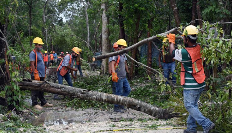 Los trabajadores locales limpian las calles después del paso del huracán Grace por la costa de Tulum, estado de Quintana Roo, México. / Foto: AFP