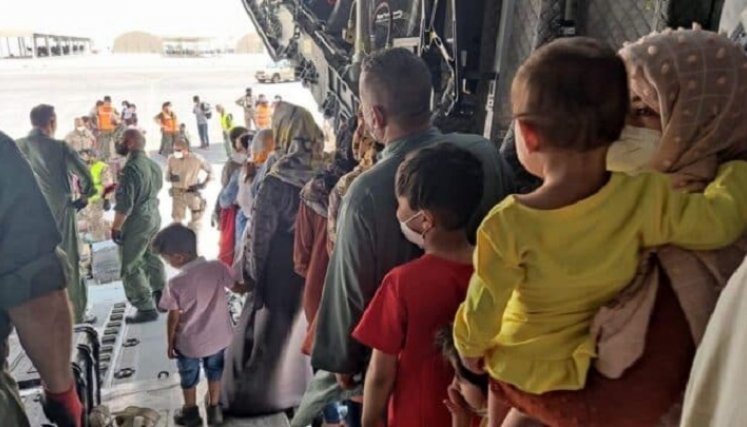 Niños afganos necesitan trasplantes de hígado tras comer hongos venenosos./Foto: internet