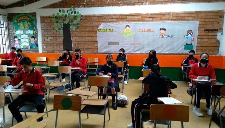 De esta cantidad, 144 son de primaria y 248 de bachillerato. De los dos grados acudirán por día el 50%.