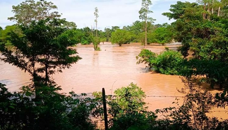 Las fuertes lluvias causaron el desbordamiento de ríos en el Catatumbo./Foto Cortesía