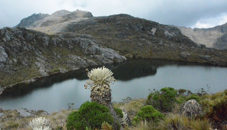 Fuentes de agua