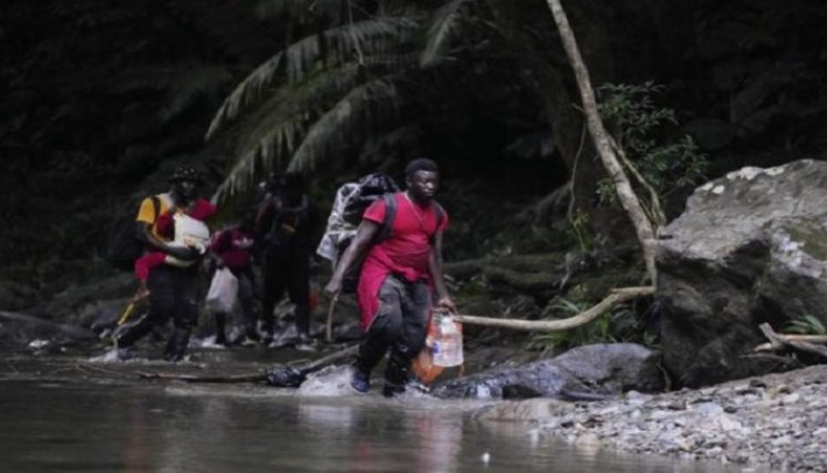 Hallan diez cadáveres de posibles migrantes en la selva./Foto: internet