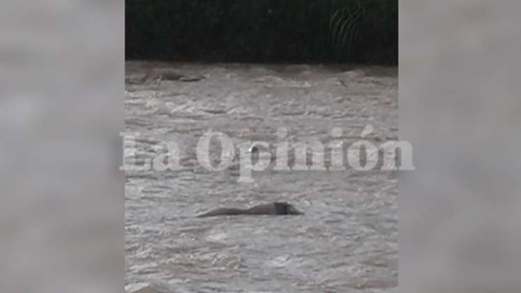 Hallan cadáver flotando en el río Pamplonita