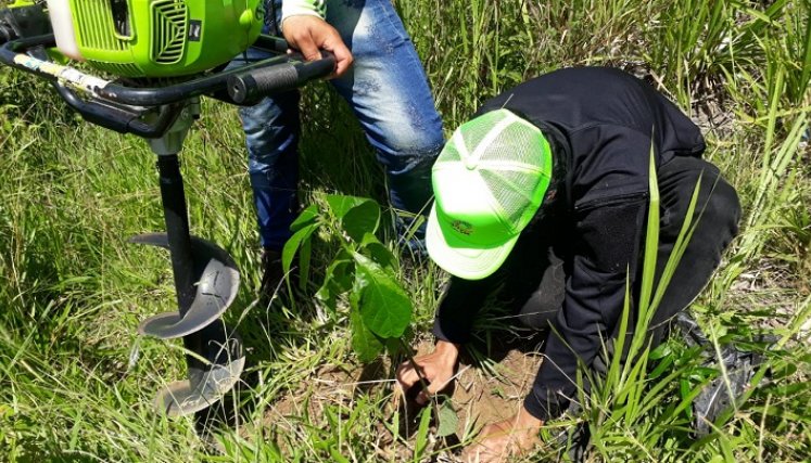 Toda la comunidad puede participar de las actividades. / Cortesía/ La Opinión
