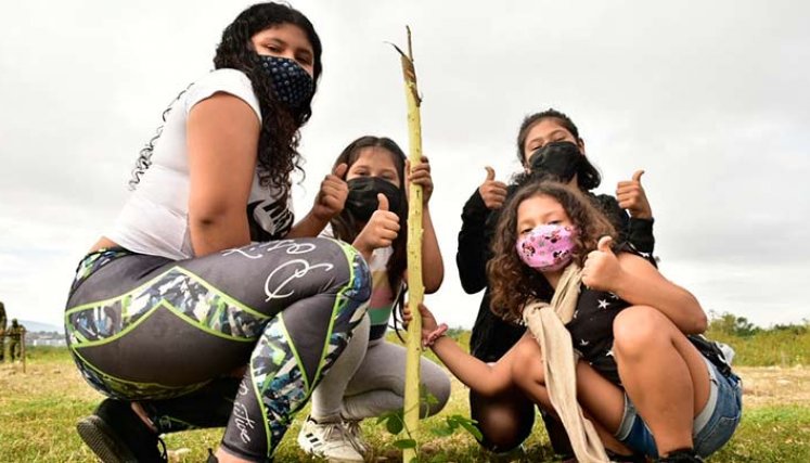 33.600 árboles nuevos se sembrarán en Cúcuta./Foto cortesía
