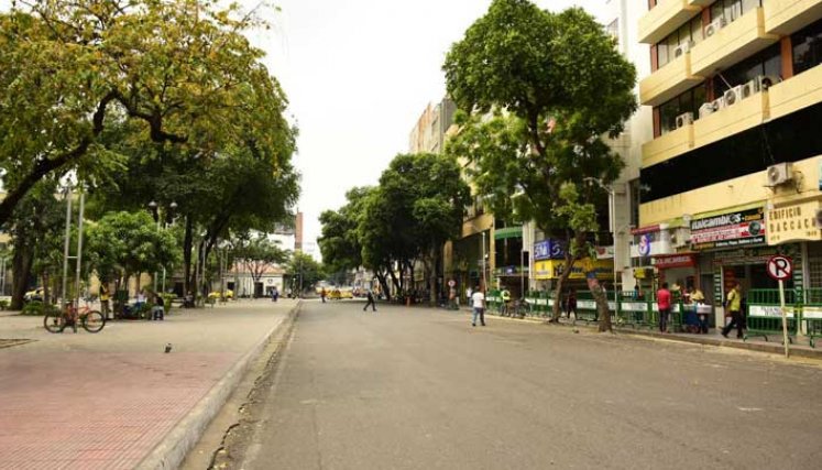 Día sin carro 