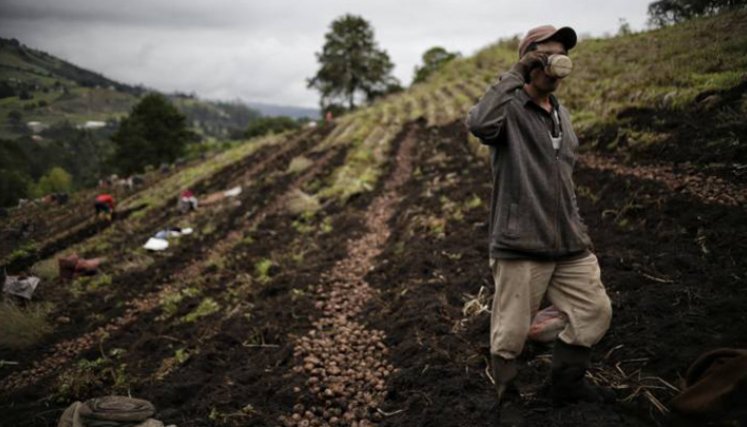 Una empresa comprometida con el ambiente y el cambio climático.